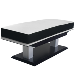 LEC Aspen GT Multipurpose Treatment Table