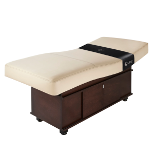 LEC INSIGNIA 2.0 CLASSIC Multi-Purpose Treatment Table with Replaceable Mattress