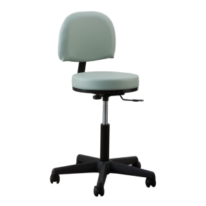 Oakworks Premium Backrest Stool High Height